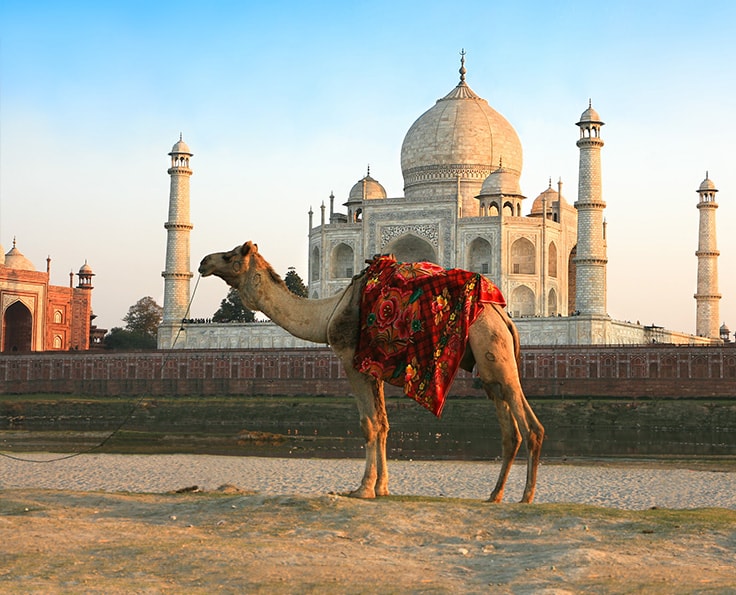 5 bonnes raisons de partir avec Shanti Travel en Inde