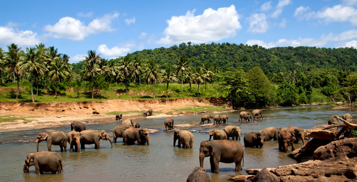 travel guide Sri Lanka